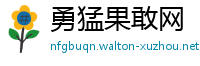 勇猛果敢网